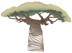 Baobab Tree Logo