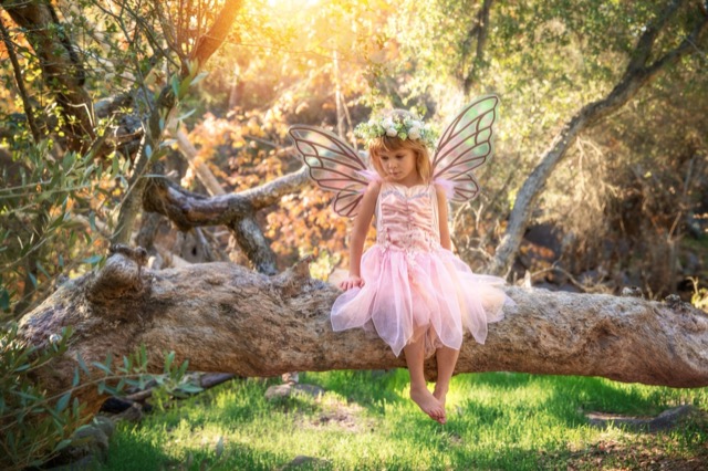 Fairy photo shoot in San Diego