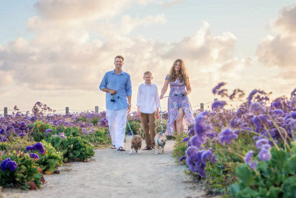 Family walking their dogs among the flowers.